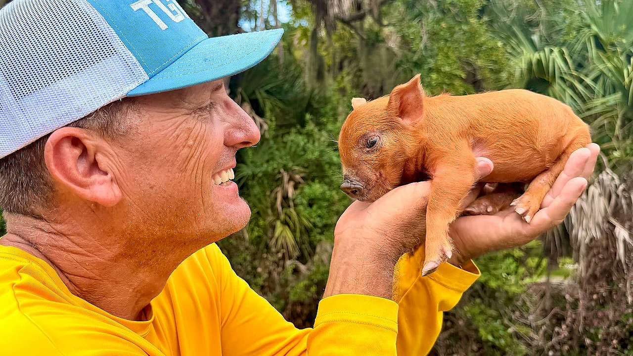 Unexpected Piglet Rescue!