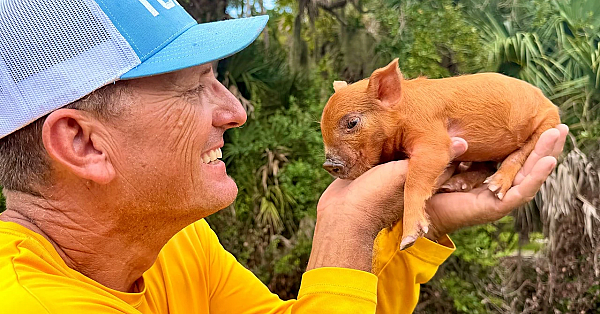 Unexpected Piglet Rescue!