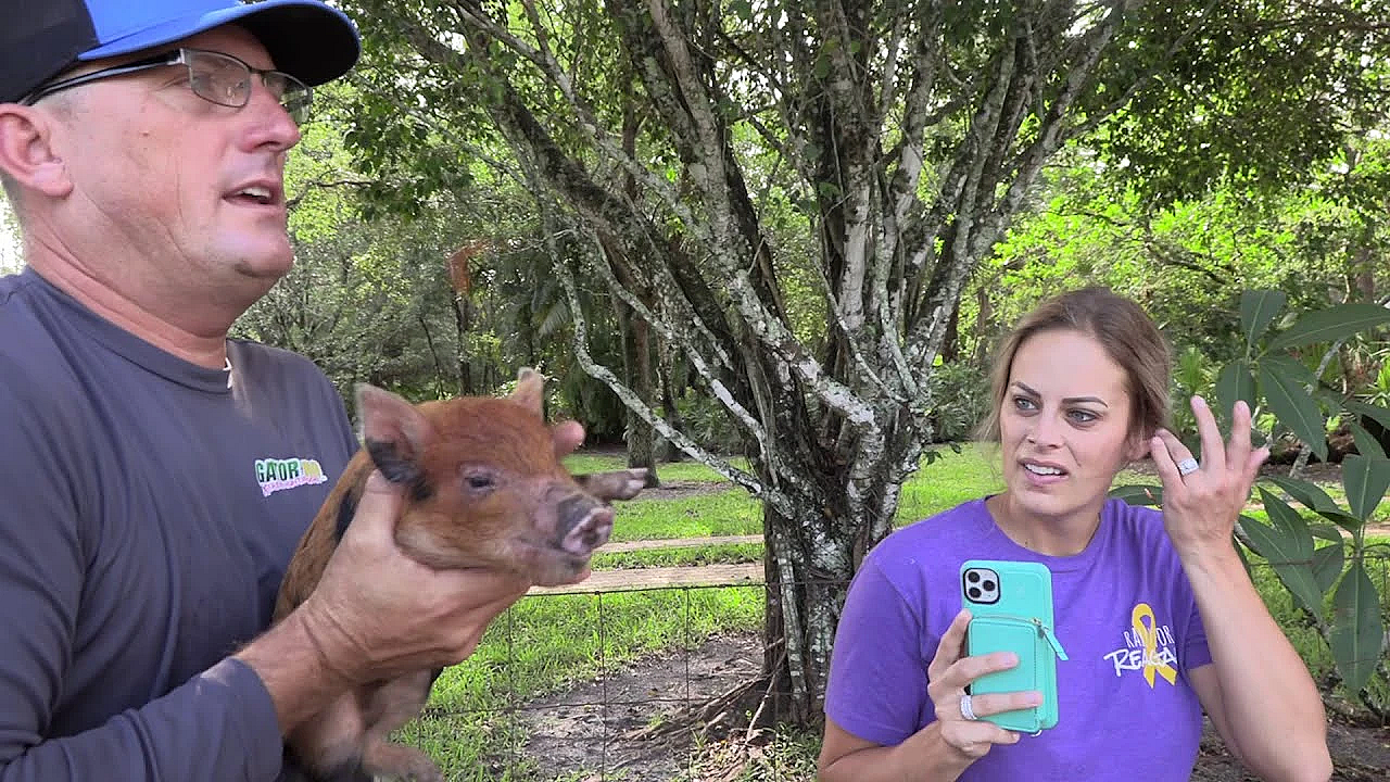 Catching A Totally Pissed Off Opossum And Wild Pig With My Hands And A Stick!