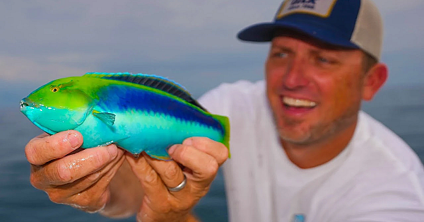 The Most Beautiful Fish I've Ever Seen! {catch Clean Cook} Smoked Fish Dip Platter