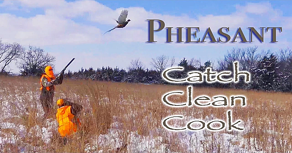 Pheasant {catch Clean Cook} Kansas 2018