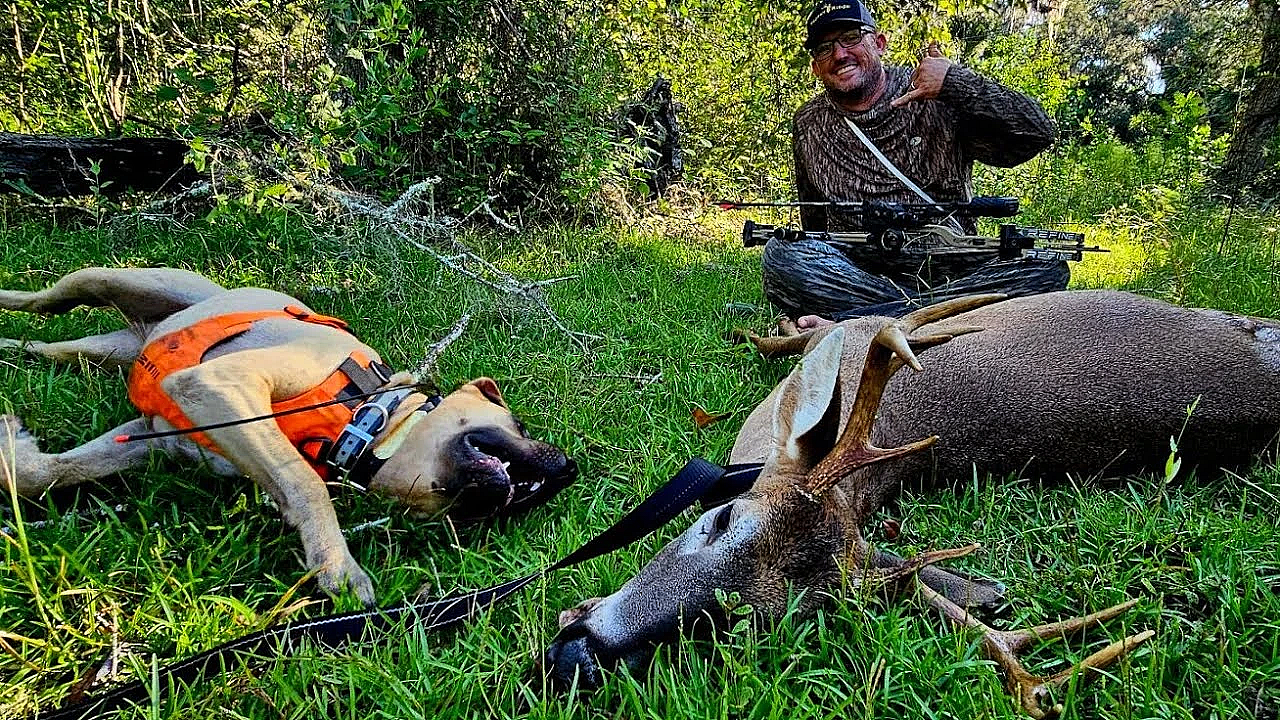 Opening Day Success In Florida! Archery Deer Hunt {catch Clean Cook} Sous Vide Venison Is Amazing