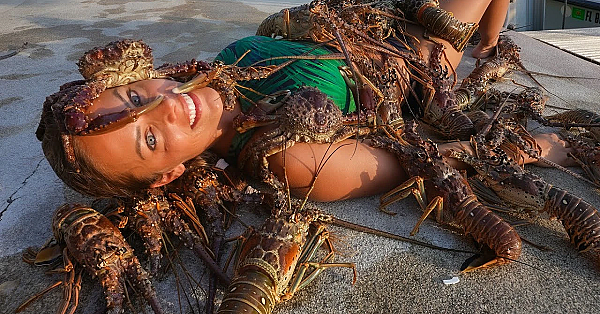 Skin Diving For Florida Lobster {catch Clean Cook} Florida Keys, Mini Season 2021