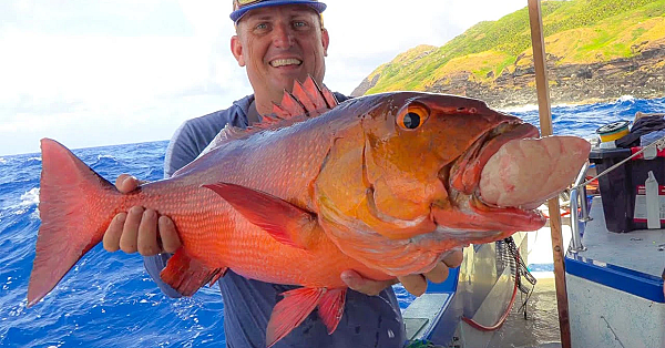 Jigging In Jurassic Park!!! {catch Clean Cook} Cooking On The Boat In Volcanic Cave!!!