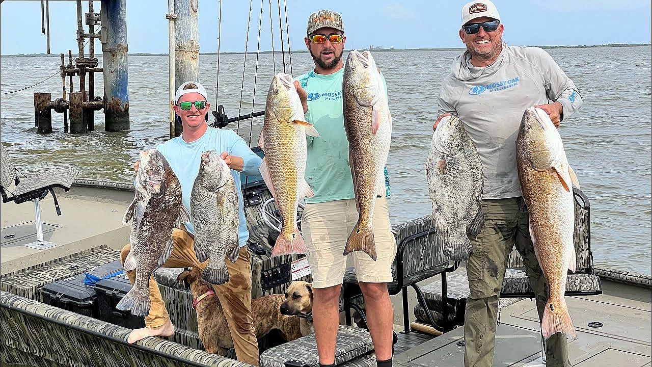 Giant Tripletail On My New Bay Boat!!! {catch Clean Cook} Venice, La