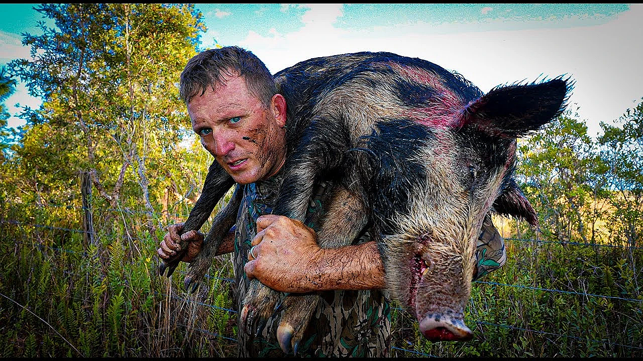 Trapping 4 Massive Boars In 1 Home-made Trap!!! {catch Clean Cook} Bar B Q Bacon Wrapped