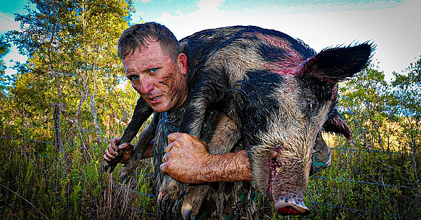 Trapping 4 Massive Boars In 1 Home-made Trap!!! {catch Clean Cook} Bar B Q Bacon Wrapped