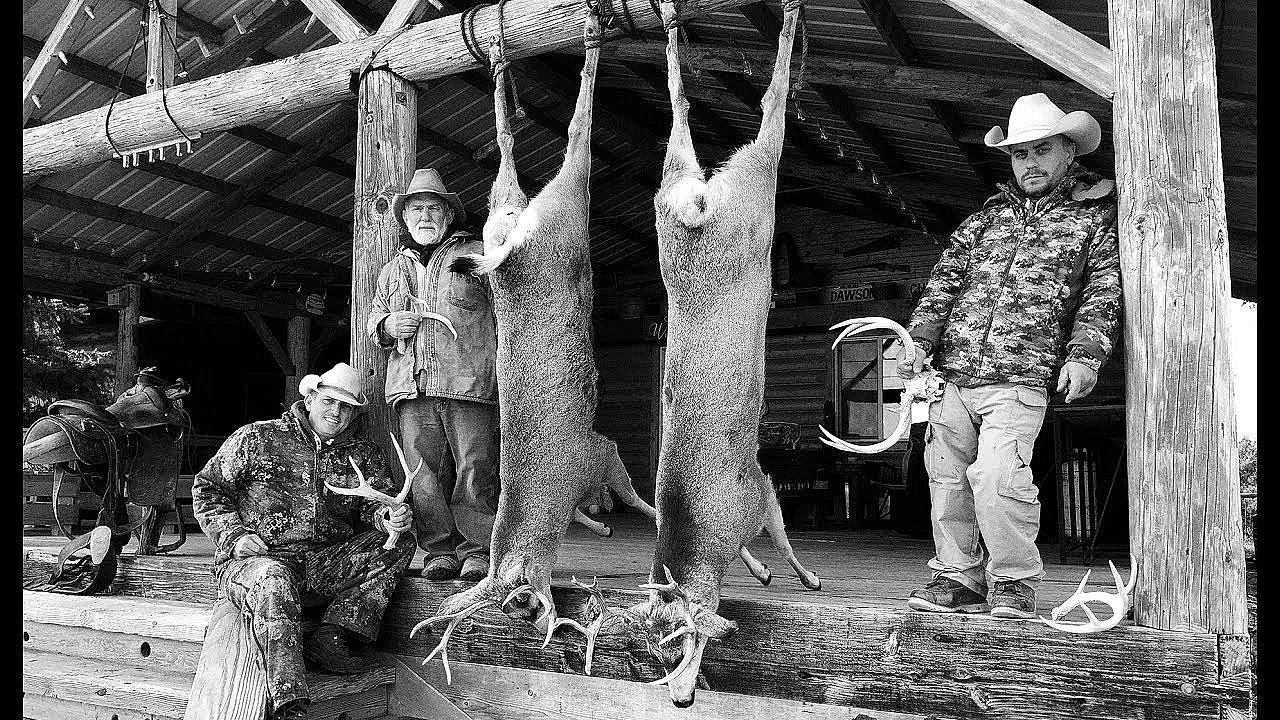 How To Cape A Deer For Taxidermy And Quarter It Out