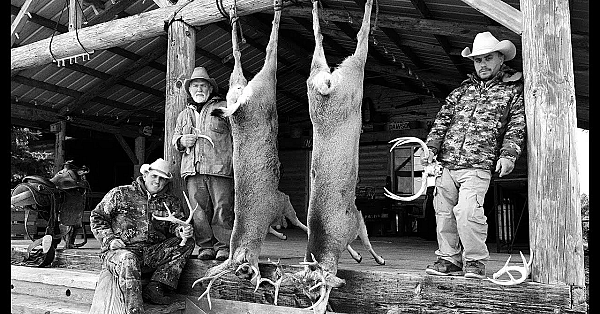 How To Cape A Deer For Taxidermy And Quarter It Out