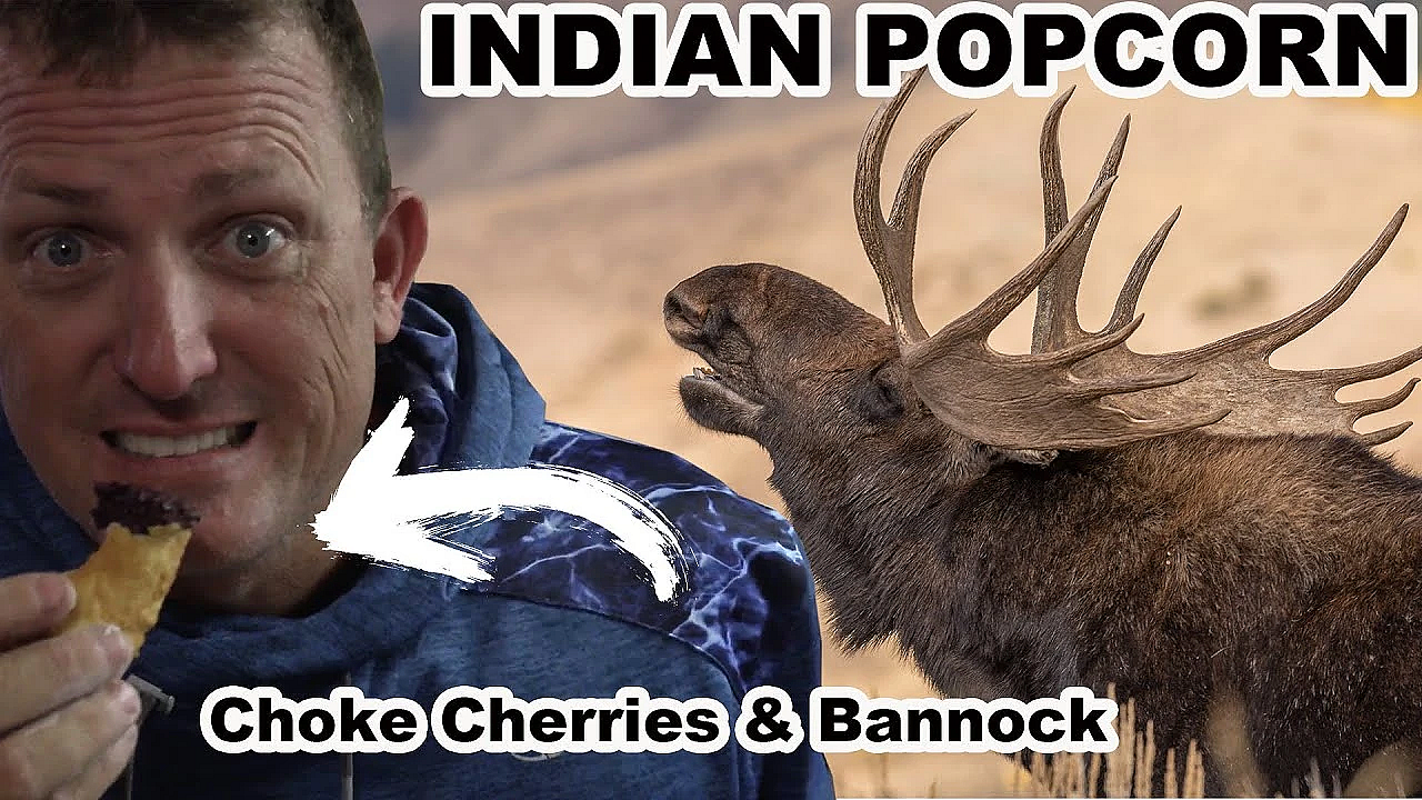 Indian Popcorn With Choke Cherries &amp; Bannock {first Nation Powwow On Sweetgrass Reservation}
