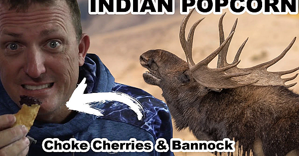 Indian Popcorn With Choke Cherries &amp; Bannock {first Nation Powwow On Sweetgrass Reservation}