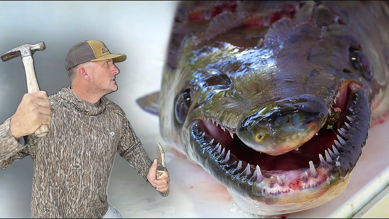 This Fish Was So Dangerous I Had To Slow Him Down With A Hammer {catch Clean Cook} Outside The Levee