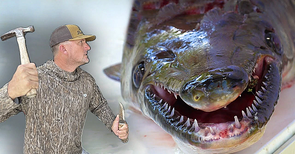 This Fish Was So Dangerous I Had To Slow Him Down With A Hammer {catch Clean Cook} Outside The Levee