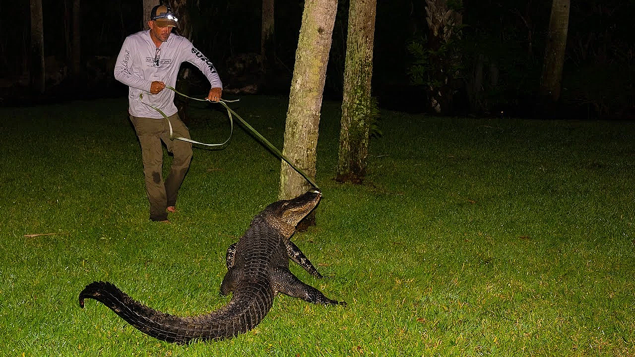 What Happened To Deermeatfordinner? The Full Story!