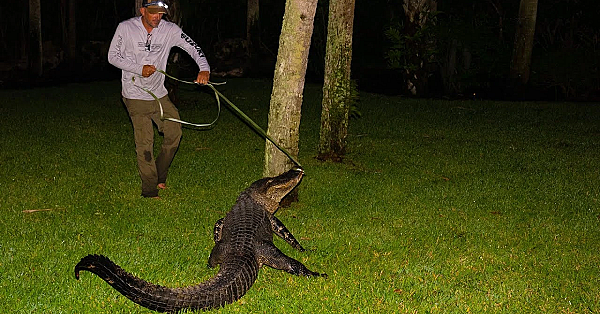 What Happened To Deermeatfordinner? The Full Story!