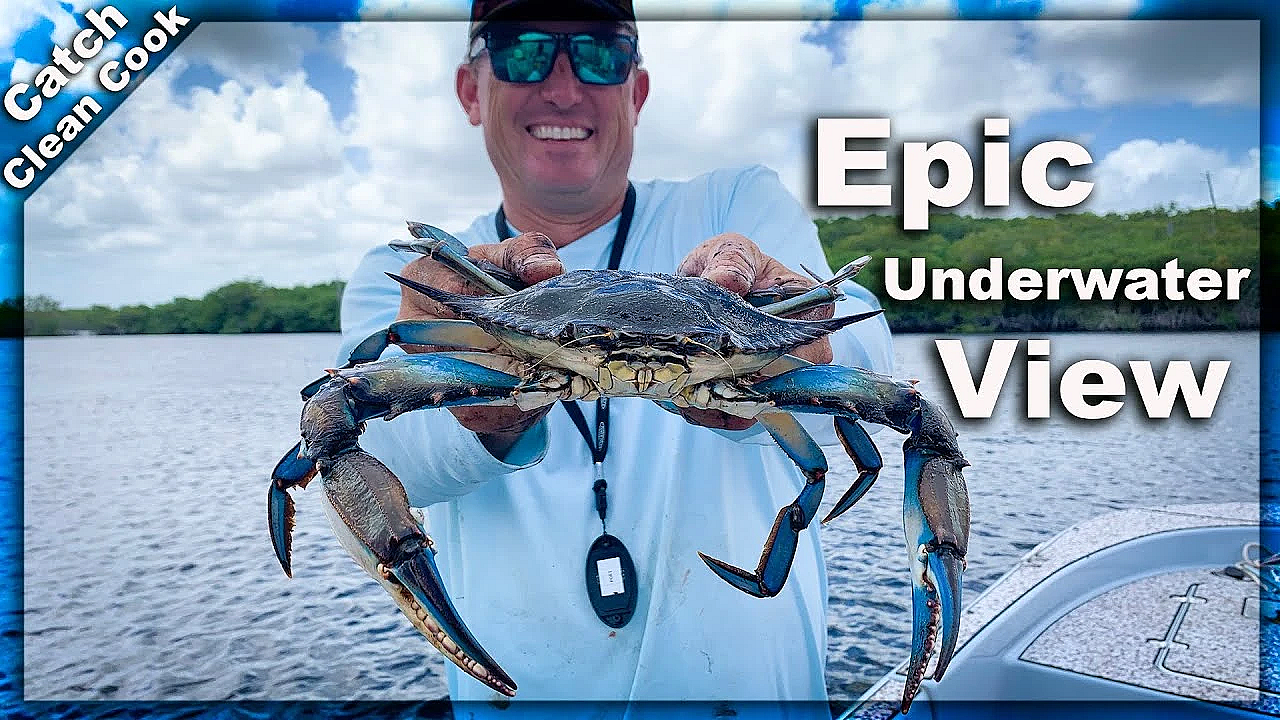 Giant West Coast Crabs! {catch Clean Cook} Homosassa Crab Boil
