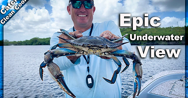 Giant West Coast Crabs! {catch Clean Cook} Homosassa Crab Boil