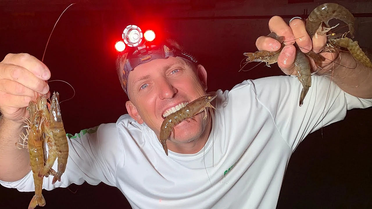 Dinosaur Shrimp {catch Clean Cook} Garlic Shrimp On The Half Shell