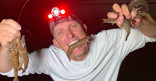 Dinosaur Shrimp {catch Clean Cook} Garlic Shrimp On The Half Shell