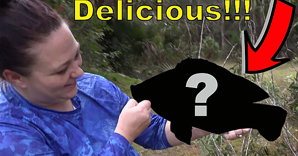 This 5 Year Old Boy, Melted My Heart! (a True Inspiration) We Did A Massive Ranch Job!!!