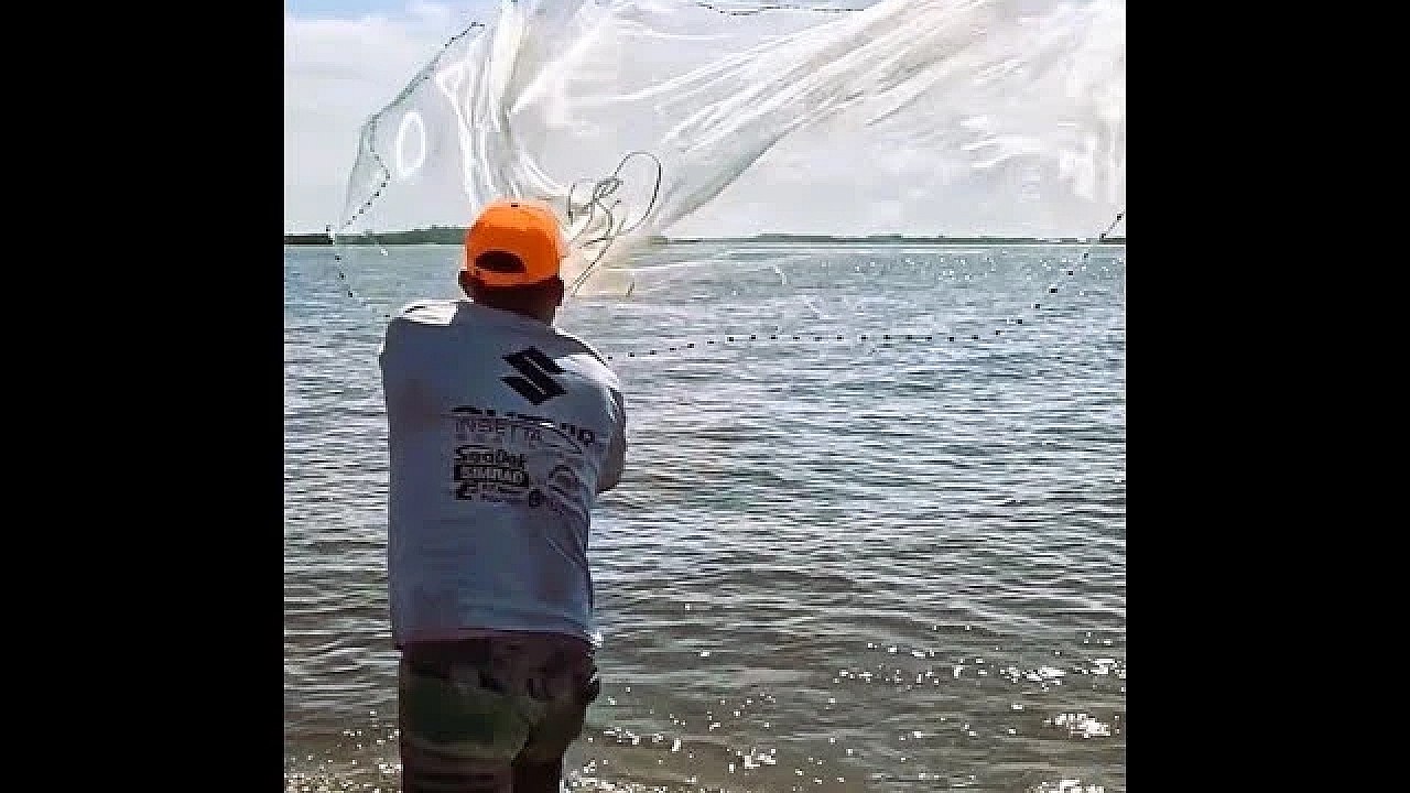 Throwing A Cast Net  #shorts