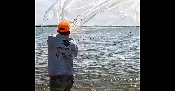 Throwing A Cast Net  #shorts