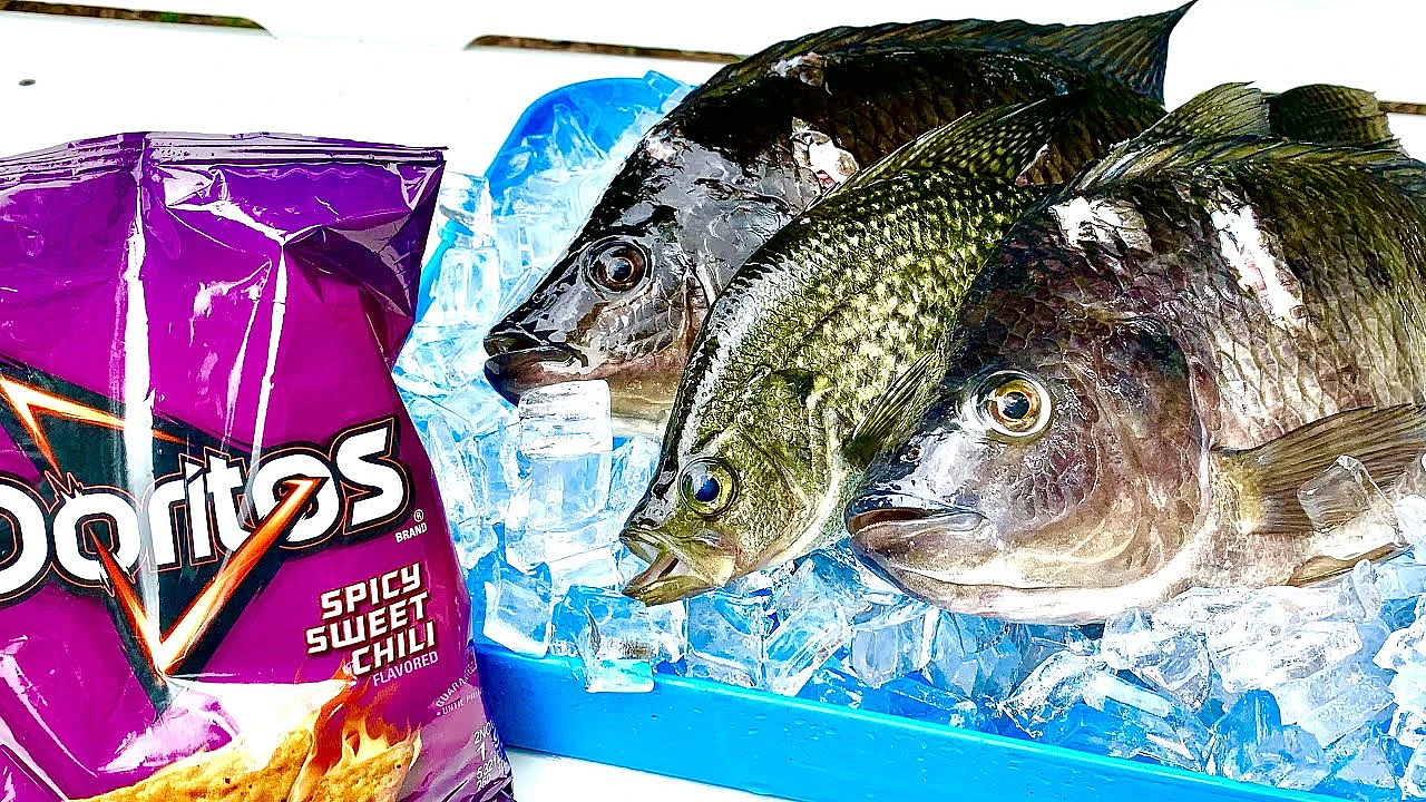 Doritos Experiment!!! {catch Clean Cook} Ft Bluegabe &amp; Austin Crocker