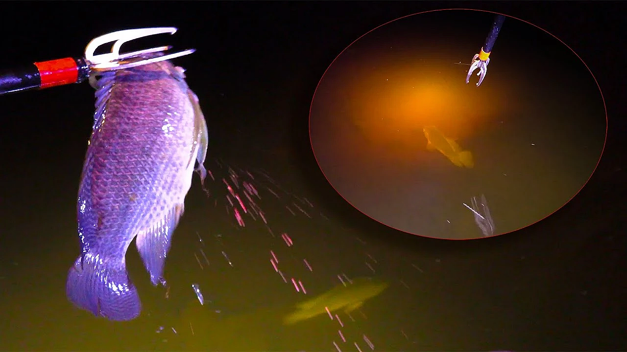 This Bull Frog Spoke To My Heart! {catch Clean Cook} Ft. Bluegabe