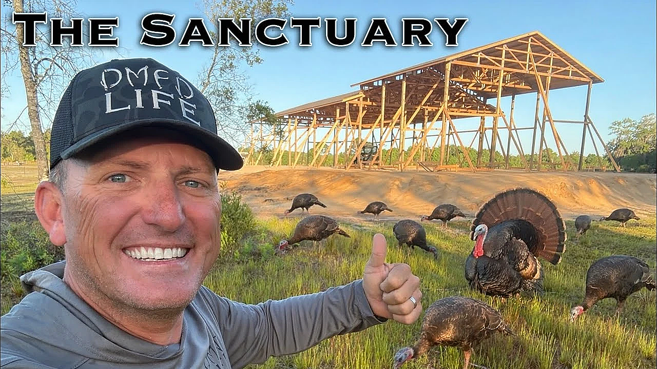 Wild Turkeys At Our New Home!  {catch Clean Cook} The Sanctuary.!