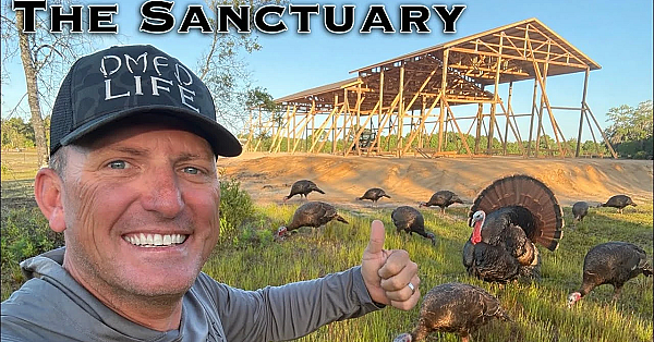 Wild Turkeys At Our New Home!  {catch Clean Cook} The Sanctuary.!