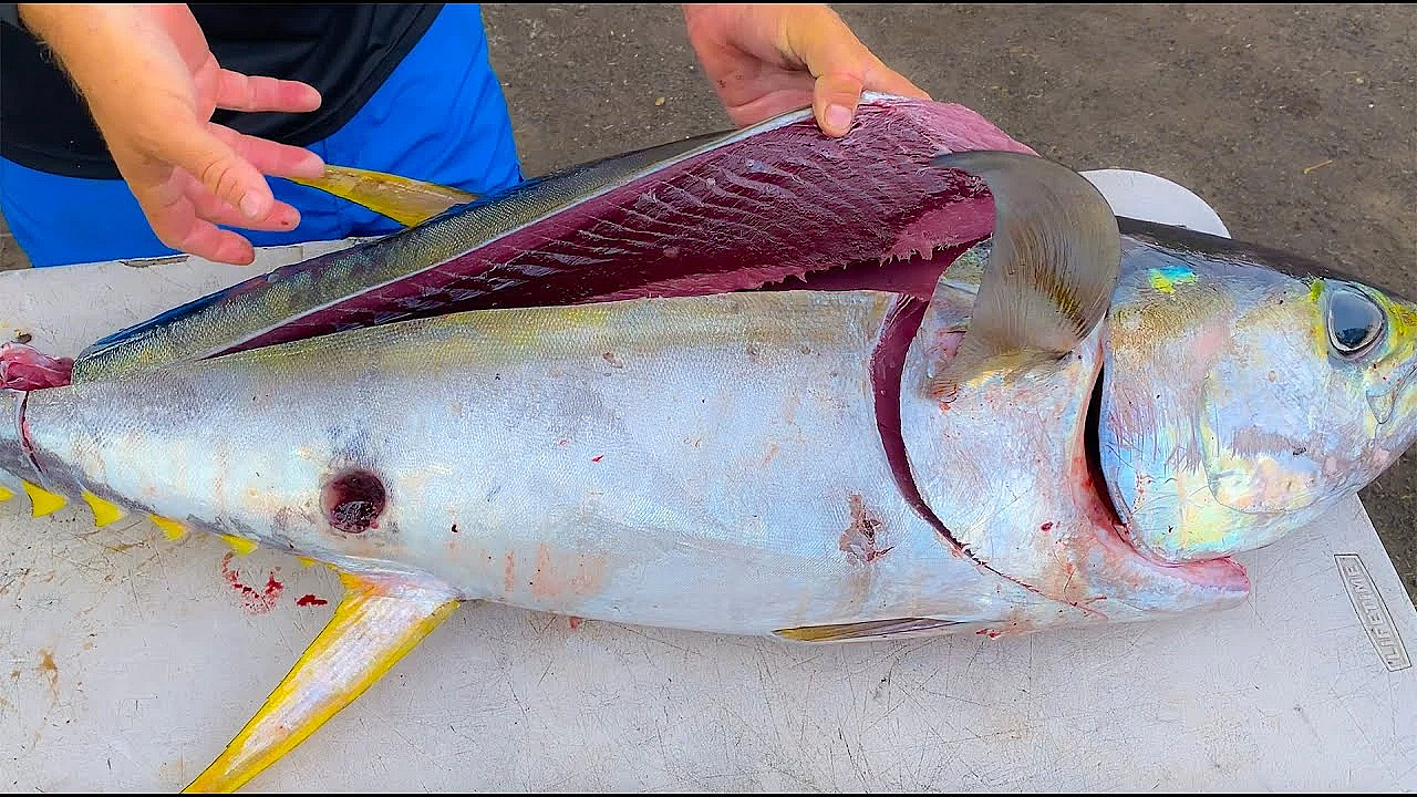 How To Live On An Ultra Remote Pacific Island! Pagan, Cnmi