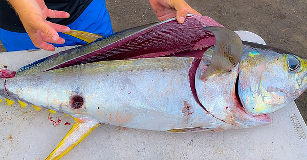 How To Live On An Ultra Remote Pacific Island! Pagan, Cnmi