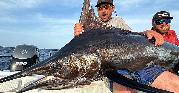 Blue Marlin On A Spinning Rod! We Didn’t Expect This!!! {catch Clean Cook}