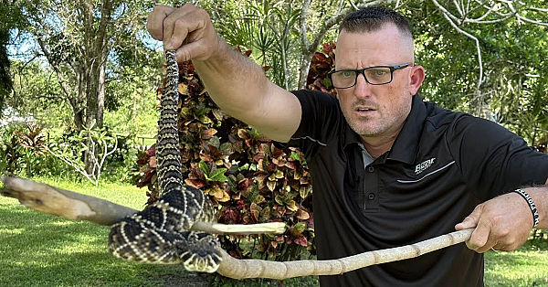 Deadly Rattle Snake Almost Got In The House!!! I Caught By Hand!