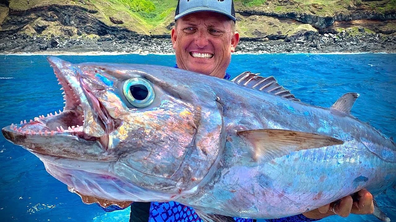 Monster Dog Tooth Tuna {catch Clean Cook} Traditional Island Smoked Fish (coconut Smoke)