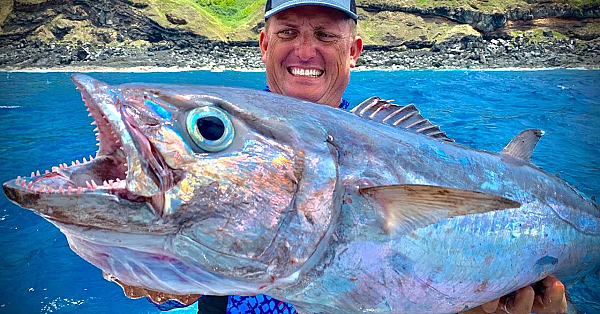 Monster Dog Tooth Tuna {catch Clean Cook} Traditional Island Smoked Fish (coconut Smoke)