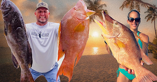 Last Fishing Trip Of The Summer!!! Amazing!!! {catch Clean Cook} Old Bahama Bay