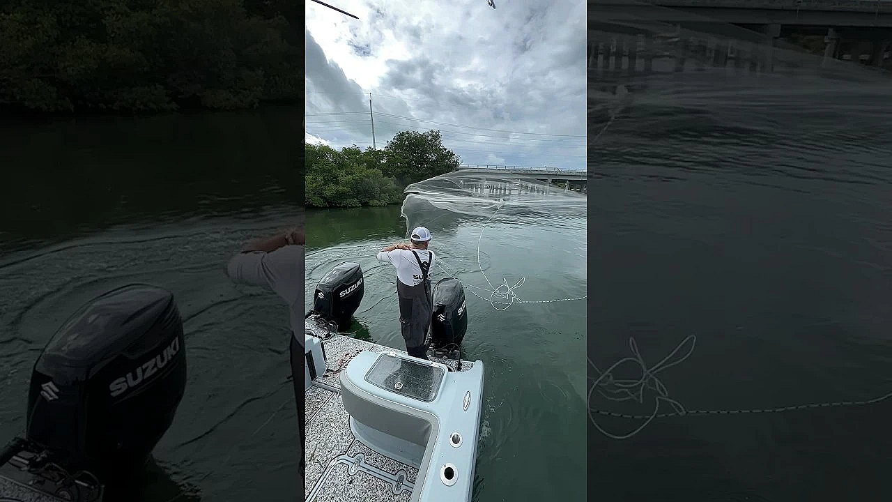 What Catches More Fish? #shorts #viral #castnet