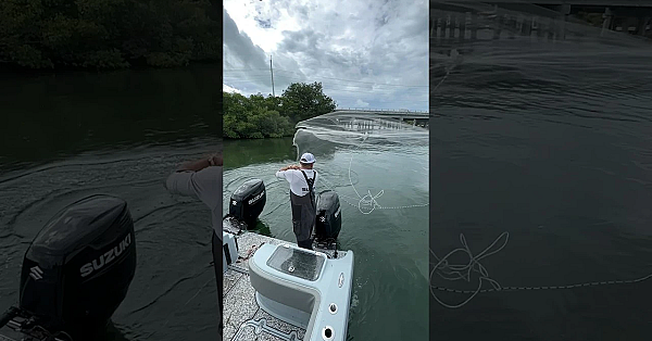 What Catches More Fish? #shorts #viral #castnet