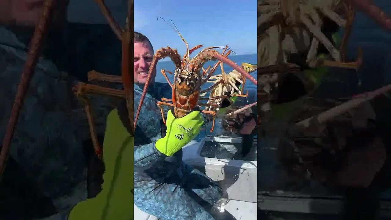 Dmfd Live - Come Eat Lobster With Us At Down The Hatch Tonight, March 31st!!!