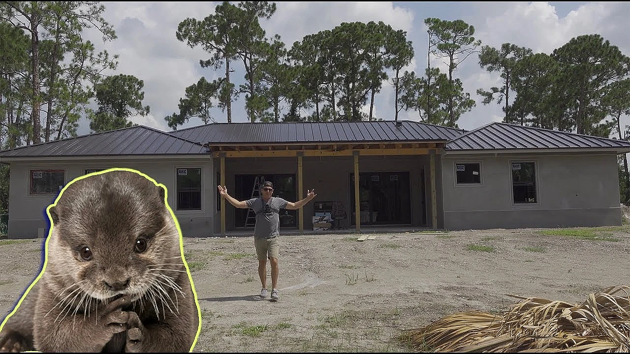 Building Our Dream Home Ft. Kia The Cute Baby Otter!!!!