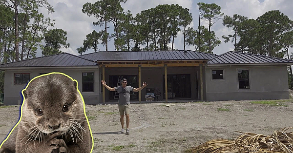 Building Our Dream Home Ft. Kia The Cute Baby Otter!!!!