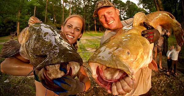 Massive Catfish Caught By Hand!!! {catch Clean Cook} Catfish Noodling