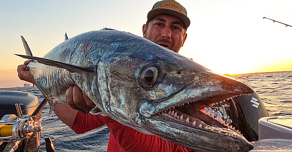 This Fish Saved The Day! {catch Clean Cook} Sweet N' Smokey Kingfish