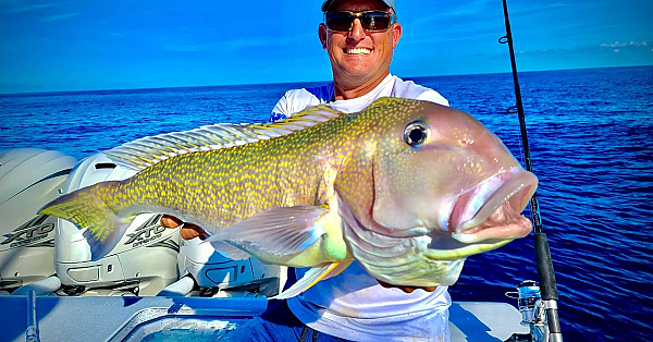 Massive Golden Tile Fish, Mutton And Cobia!! {catch Clean Cook} 44 Contender - Quad 425’s!!!