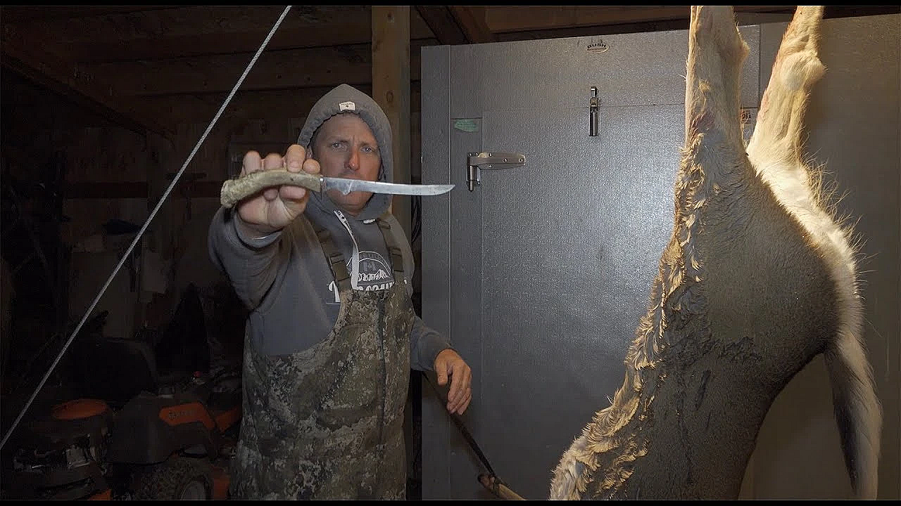 How To Clean And Quarter A Whitetail Deer