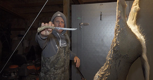 How To Clean And Quarter A Whitetail Deer