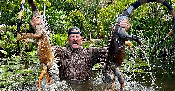 Home-made Trap To Catch Giant Green Iguanas! {catch Clean Cook} The Biggest I’ve Ever Seen!