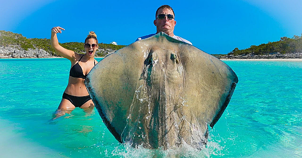 Massive Stingray!!! {catch Clean Cook} Authentic Philippine Recipe