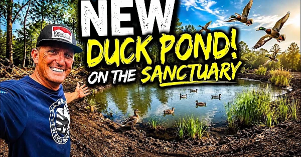 We TRANSFORMED The Sanctuary! Building Our NEW Duck Pond!